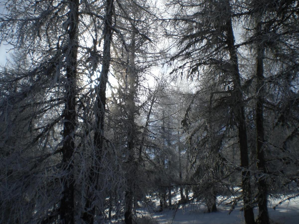 Апартаменты T3 Coquet Et Lumineux Aux Pieds Des Pistes Ансель Экстерьер фото